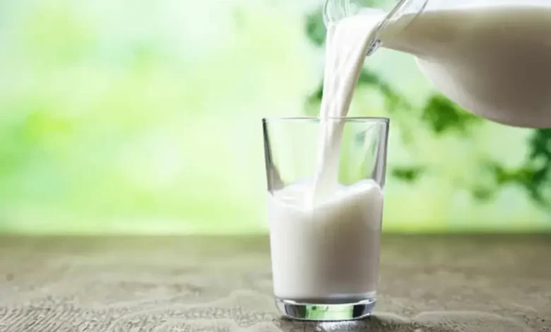 Top 10 Milk To Gain Weight