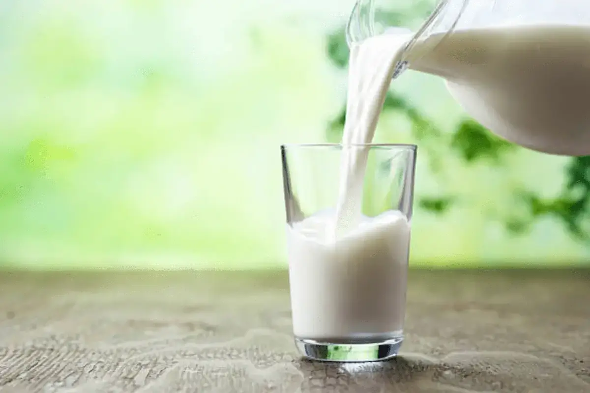top-10-milk-to-gain-weight-listing-best