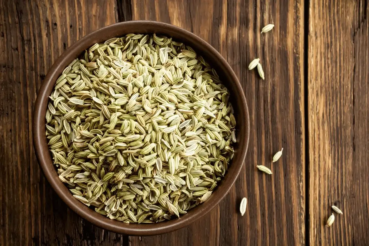 Fennel seeds is one of the herbs for gastroesophageal reflux disease