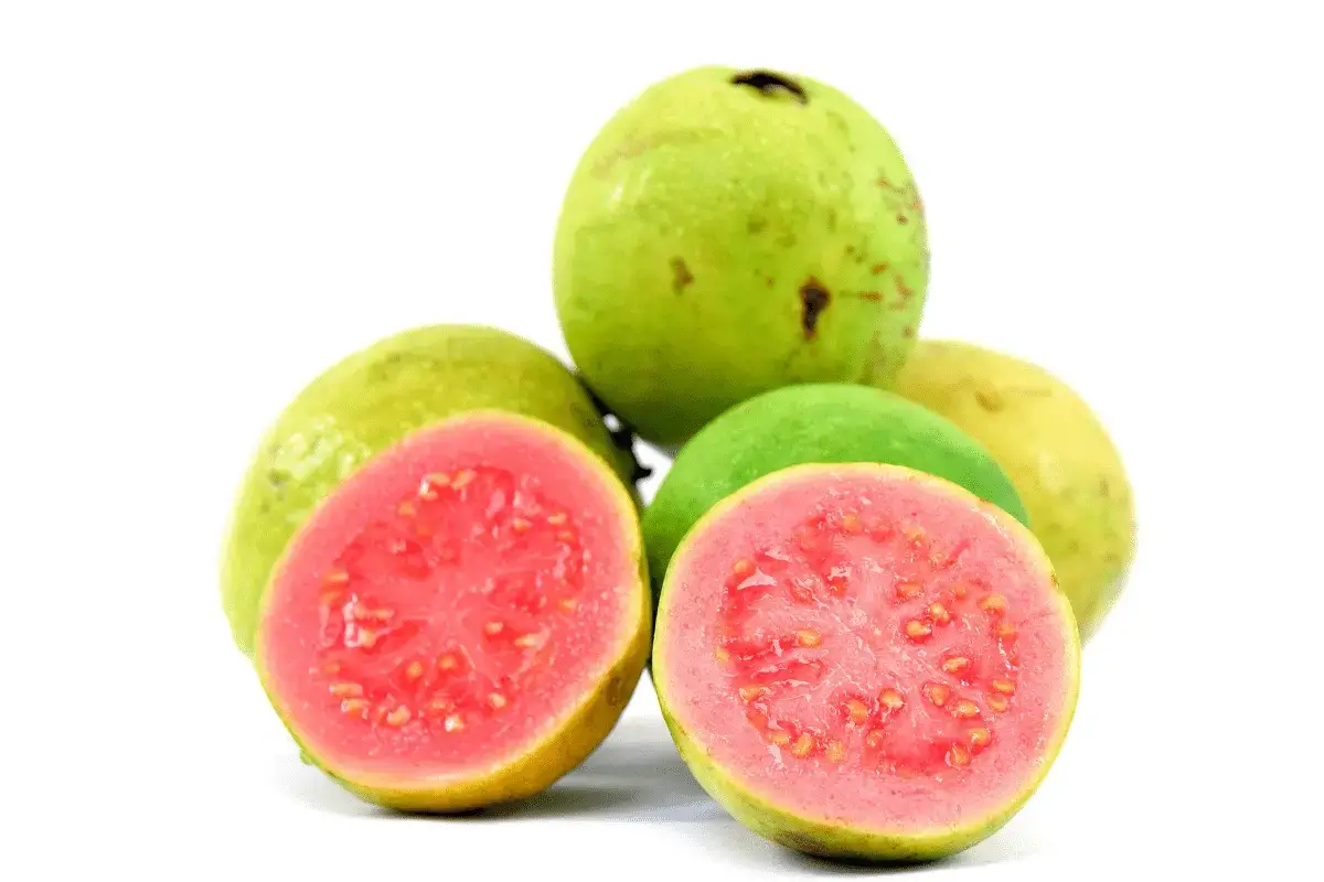 Guava