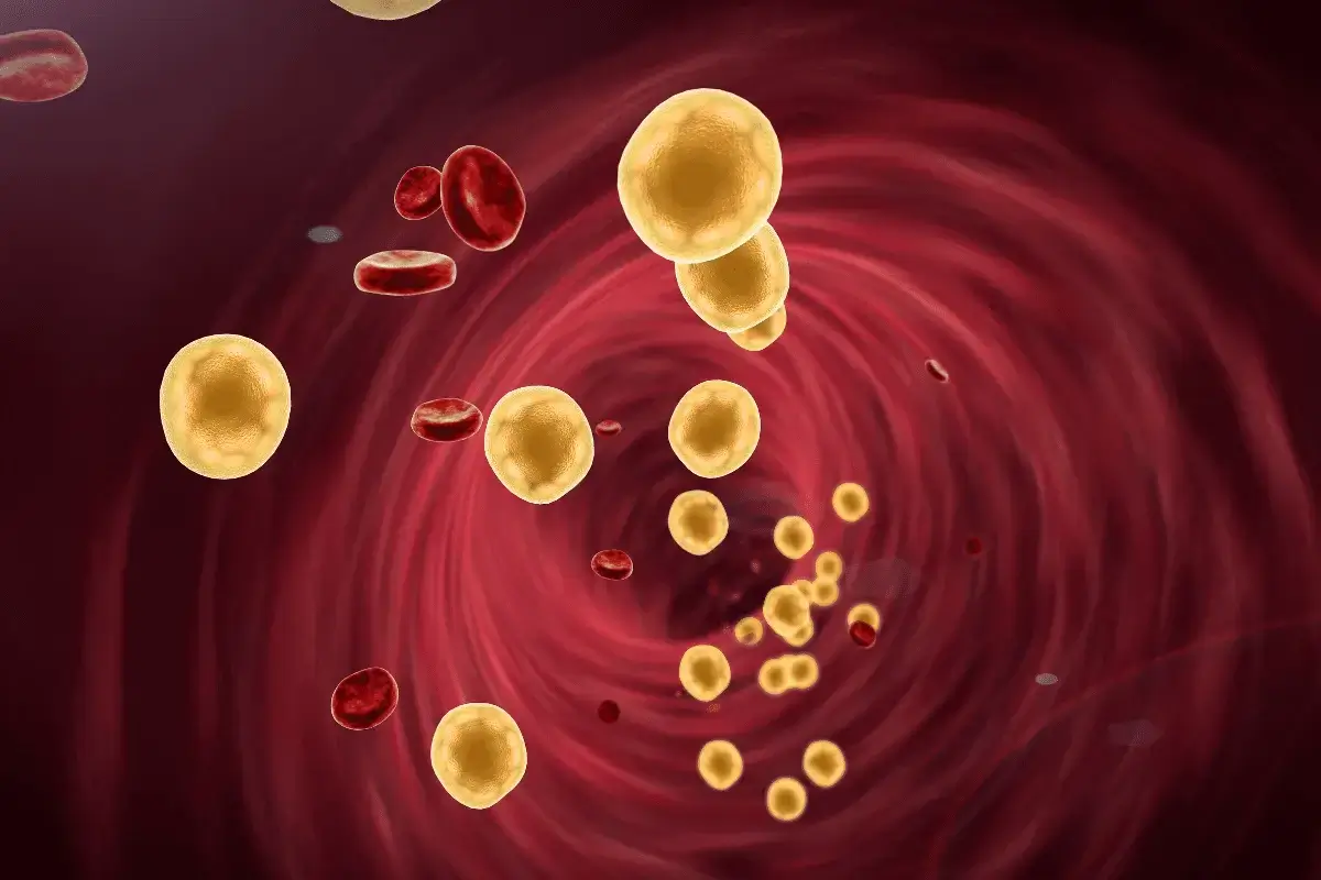 Reducing cholesterol levels in the blood