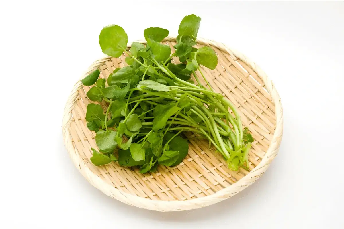 Watercress benefits for men