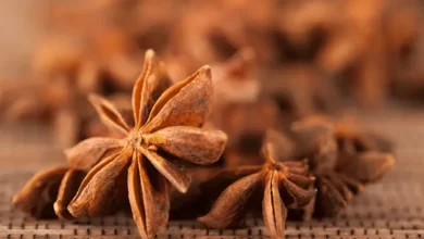 Top 10 Benefits of Anise