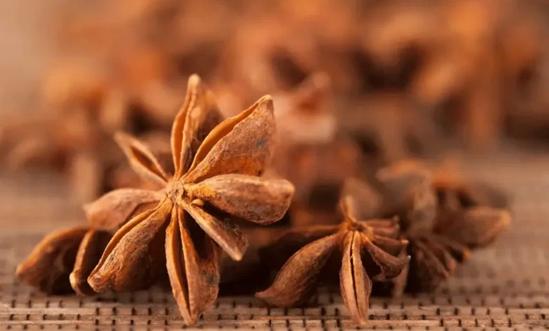 Top 10 Benefits of Anise