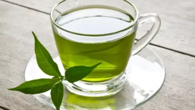 Top 10 Empty Stomach Green Tea Benefits