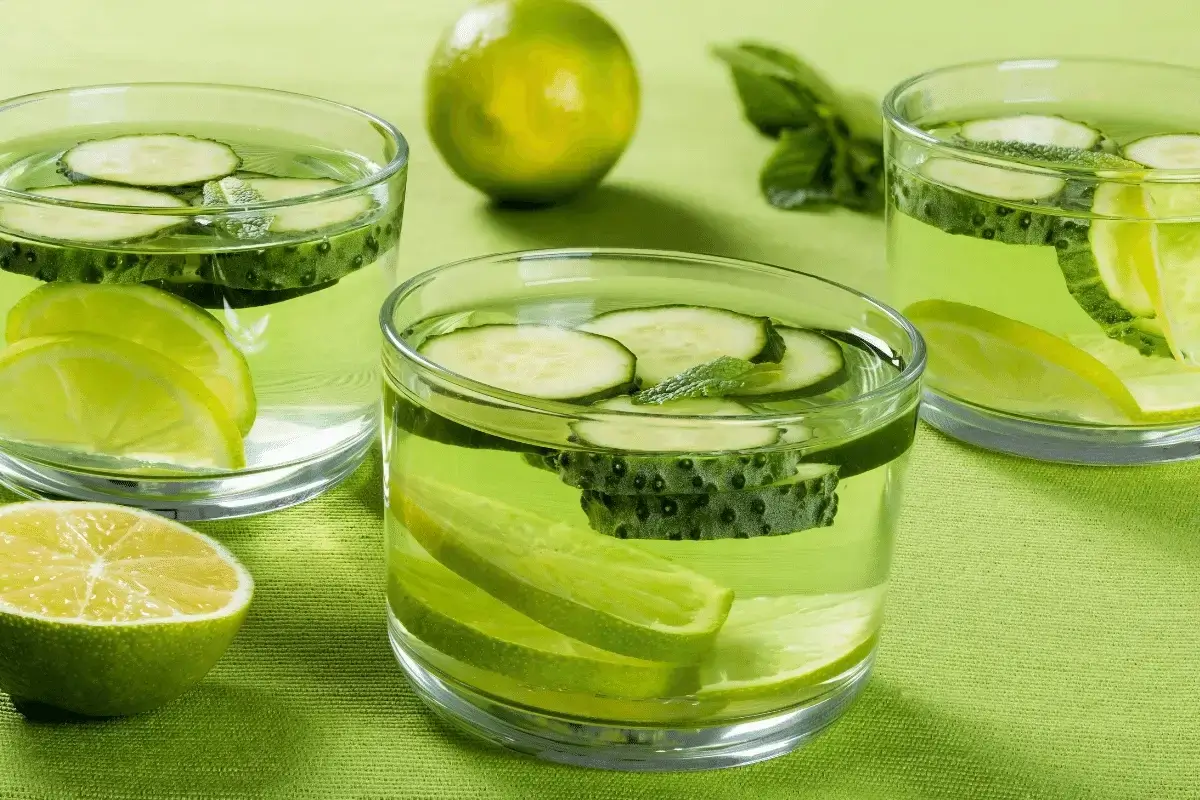 Top 10 Fat Burning Drinks Listing Best