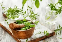 Top 10 Herbs For Gastroesophageal Reflux Disease
