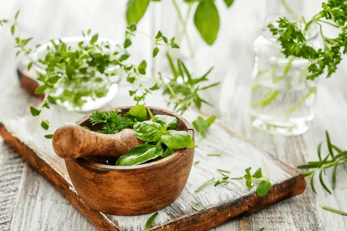 Top 10 Herbs For Gastroesophageal Reflux Disease Listing Best