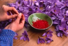Top 10 Saffron Benefits For Women