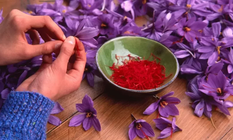 Top 10 Saffron Benefits For Women