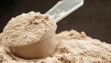 Top 10 Types of Protein For Muscle Gain