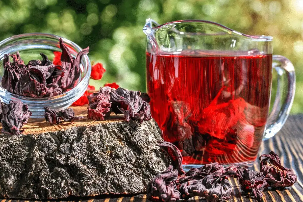 Hibiscus is one of the best herbs that lower blood pressure