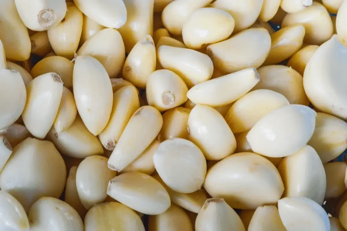 Benefits of garlic for increasing immunity