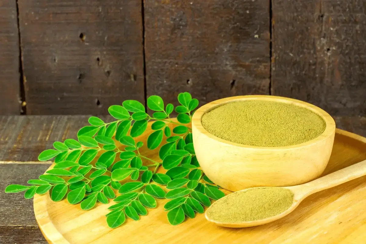 The benefits of moringa for the respiratory system