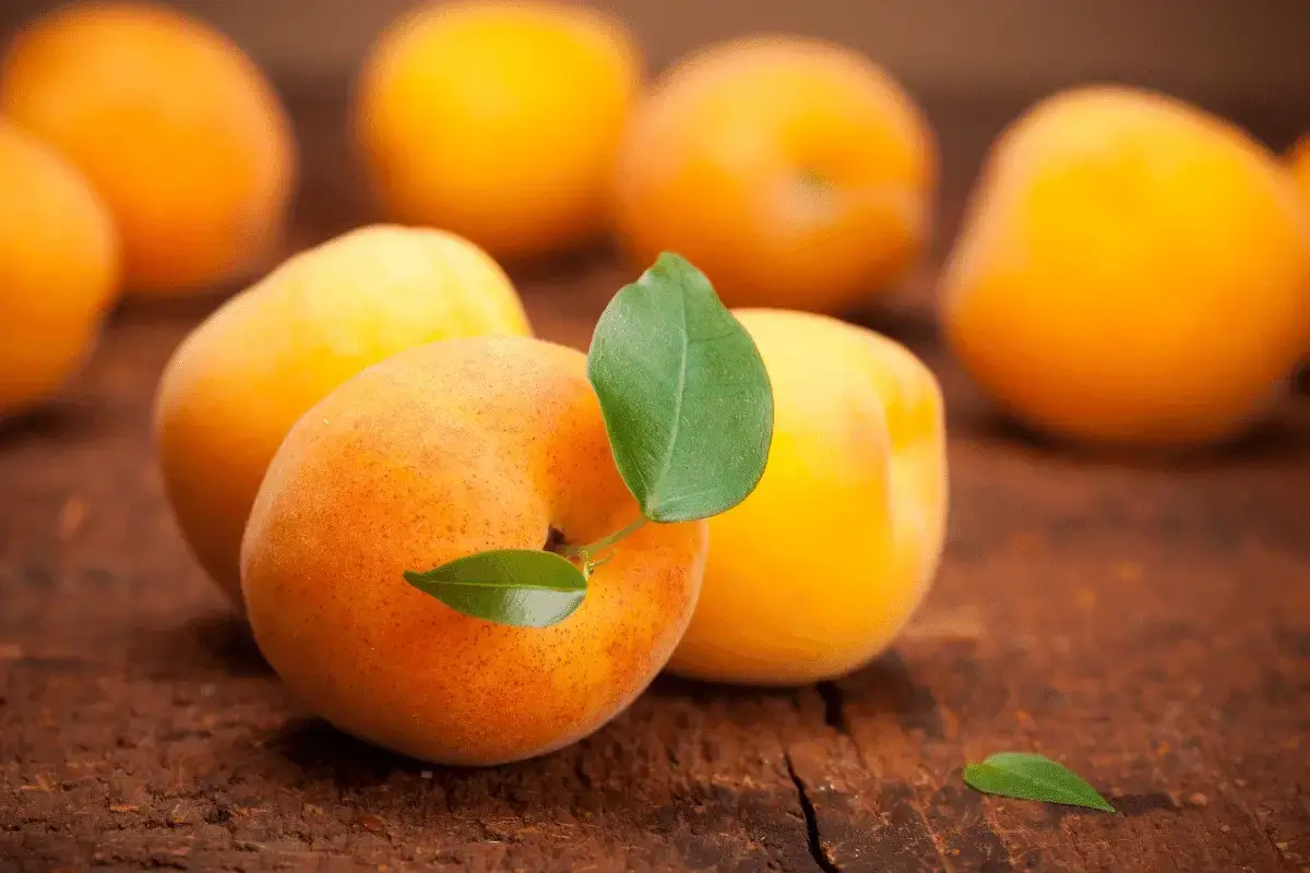 Apricot is one of the best dry fruits for muscle building