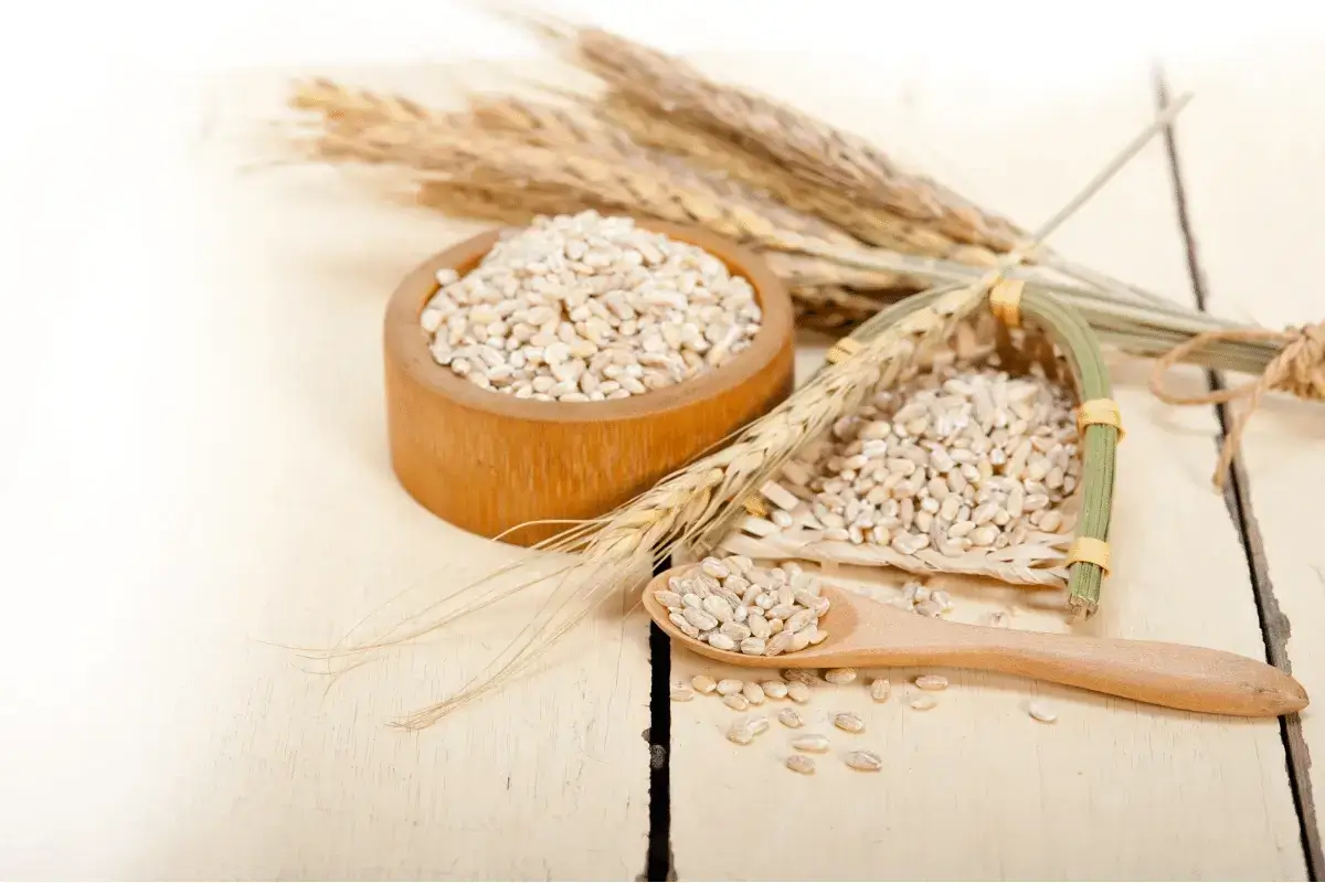 Barley benefits for hair