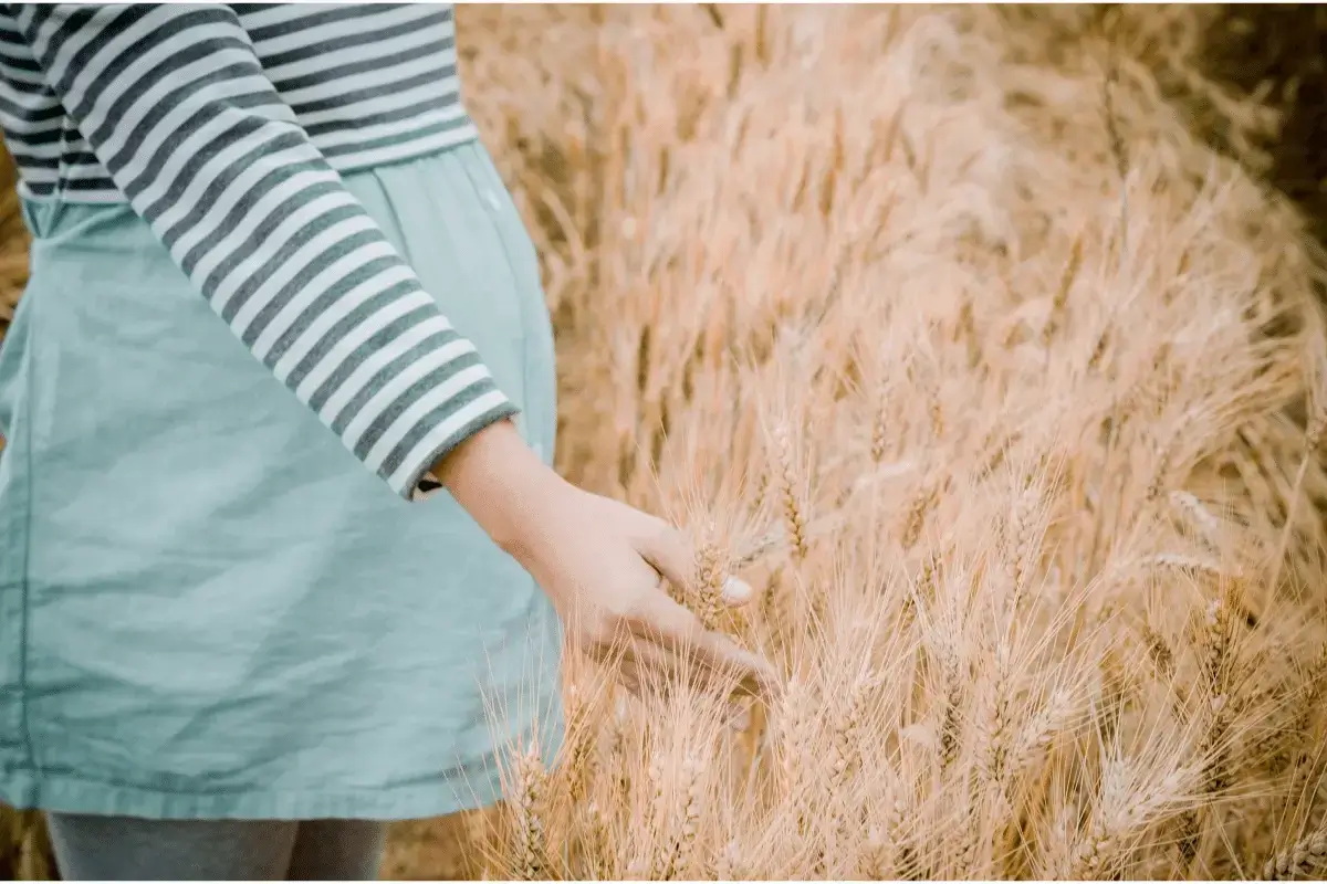 Benefits of barley for pregnant women