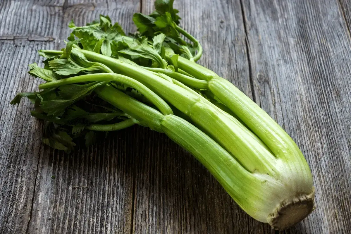 Celery is helps with zinc