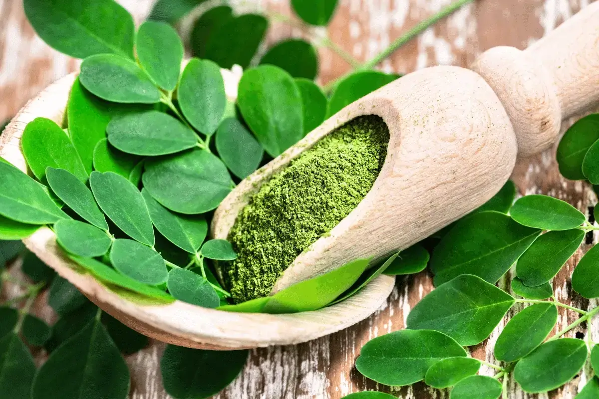 Moringa benefits children