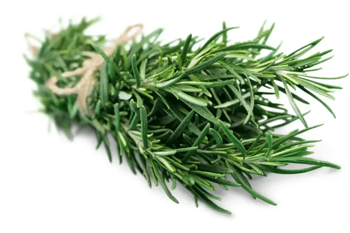 Thyme is one of the natural herbs high in zinc