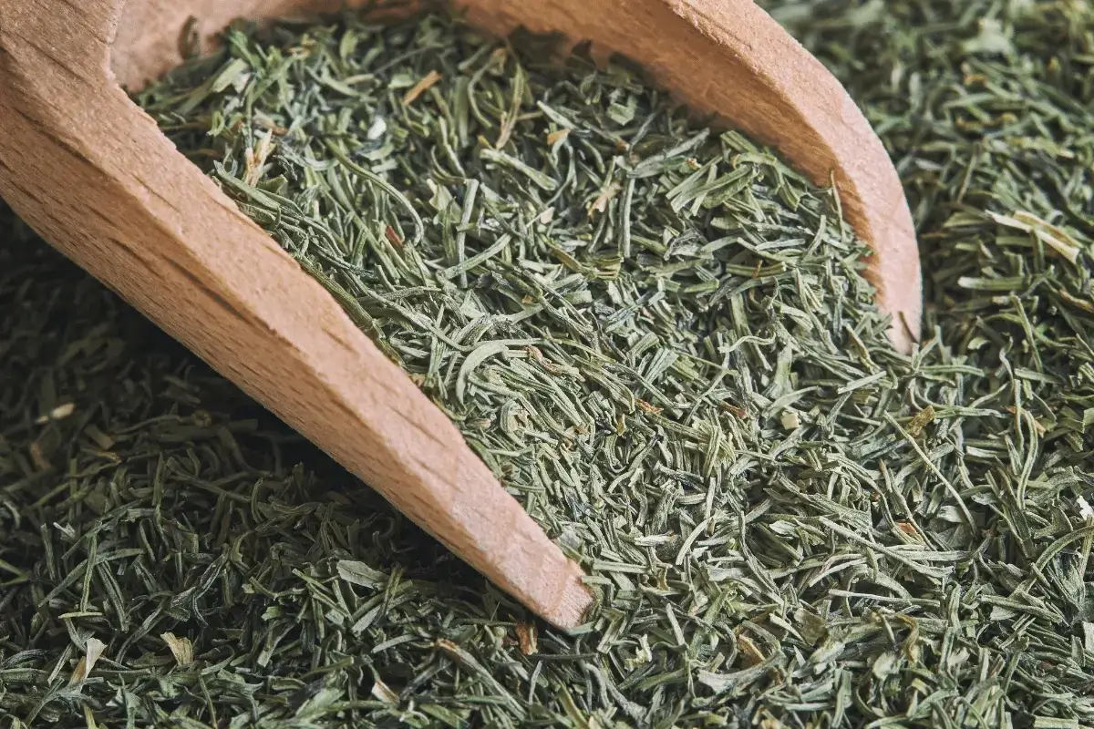 Dried dill