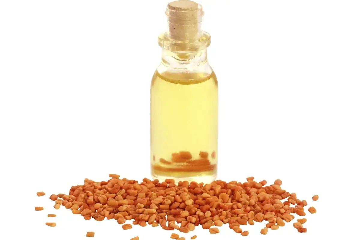 Fenugreek benefits for hair