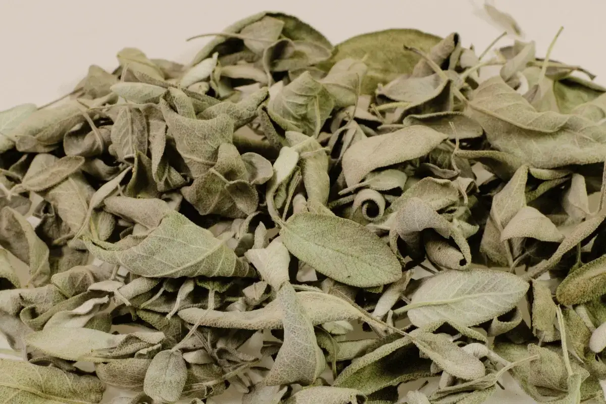 Dried sage