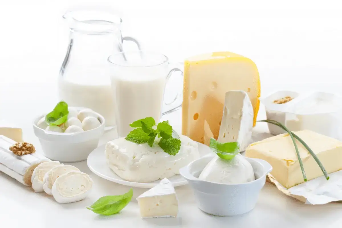 Milk and dairy products are one of the best foods rich in calcium