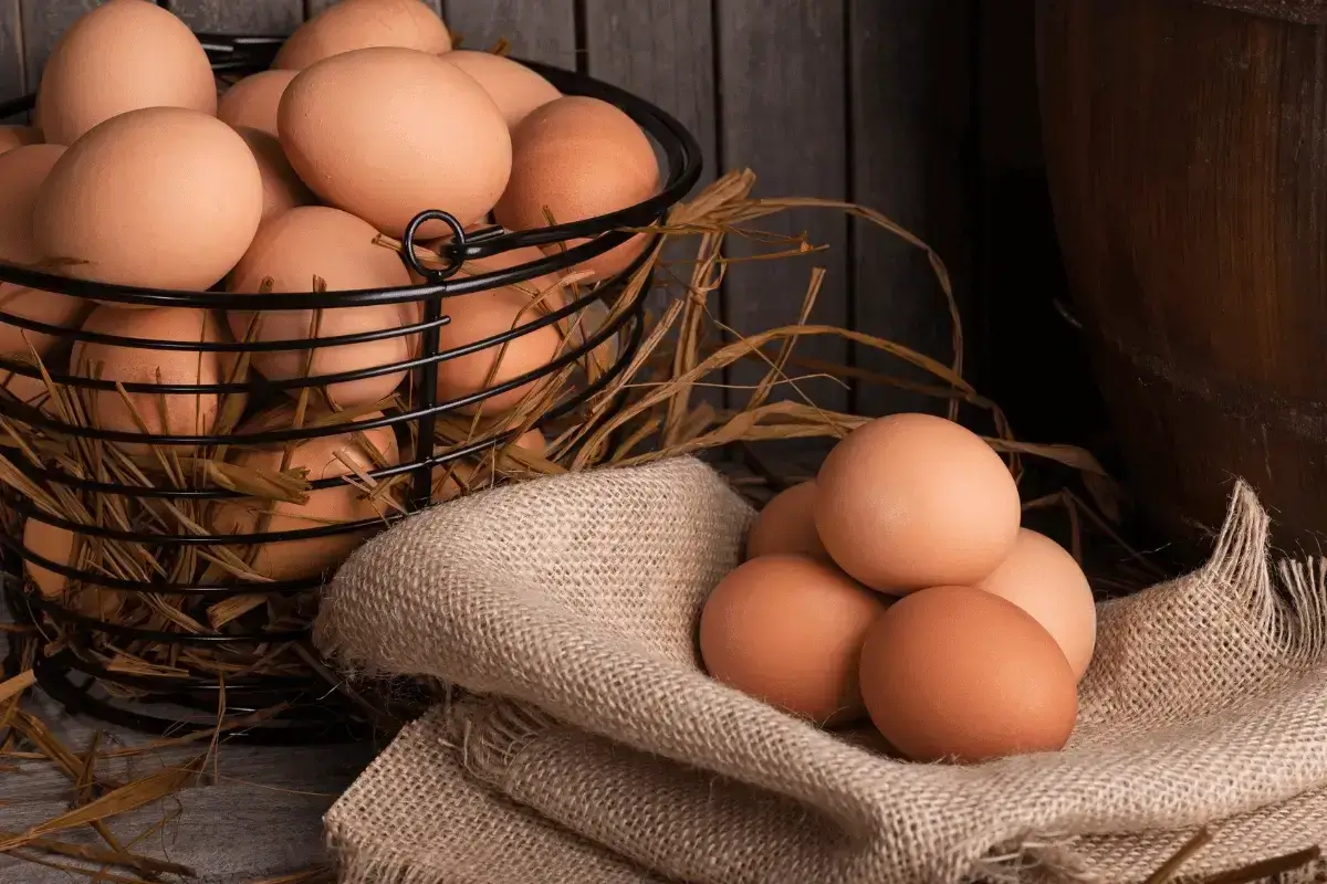 Eggs are one of the best foods to build muscle