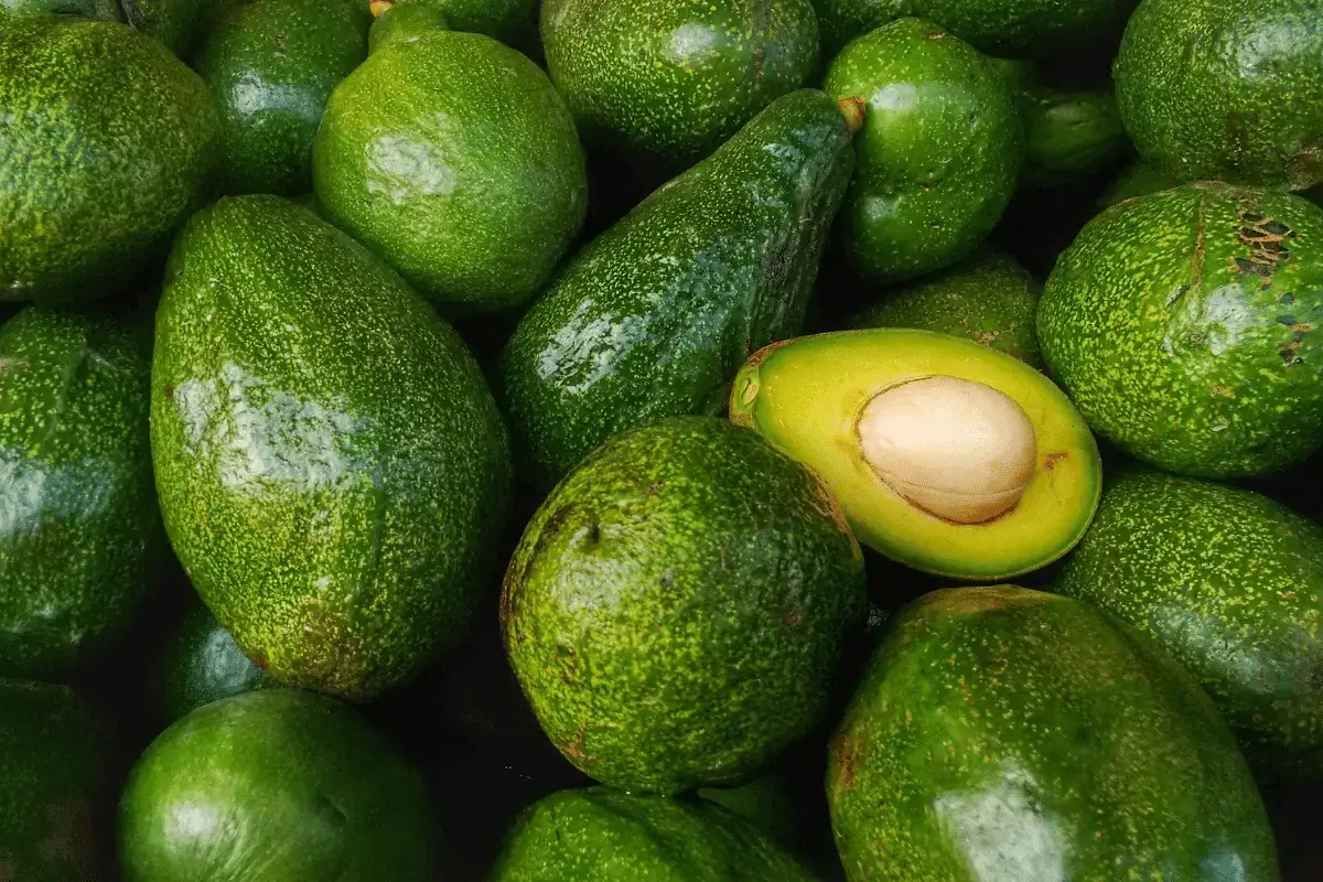 Avocado is one of the best foods that increase testosterone