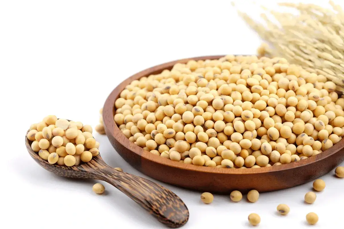 Soybean is one of the top foods that contain calcium