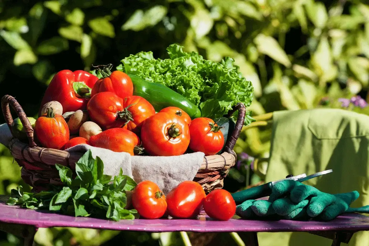Some types of vegetables are one of the top foods to strengthen nerves