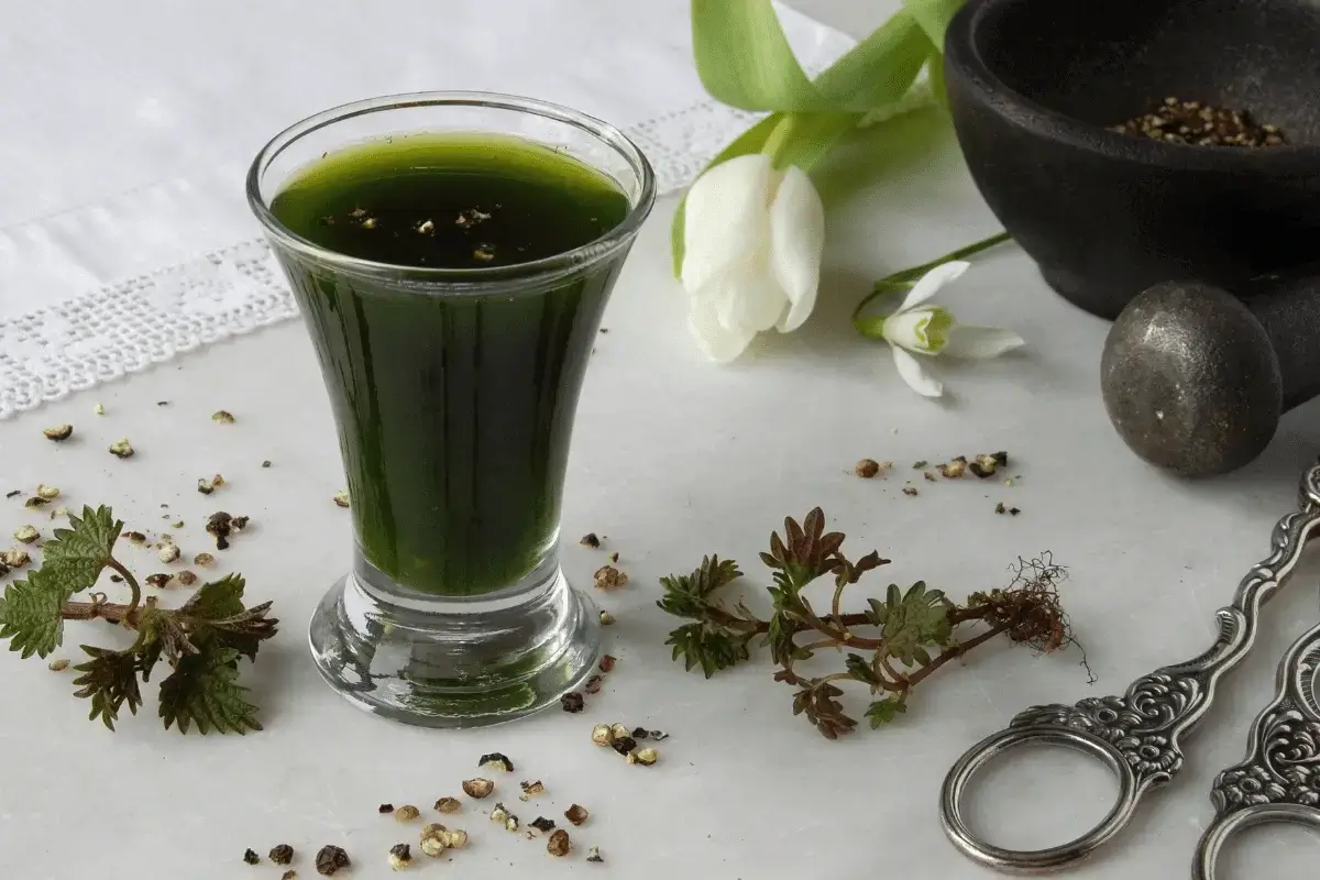 Nettle is one of the top hot drinks for pregnant women