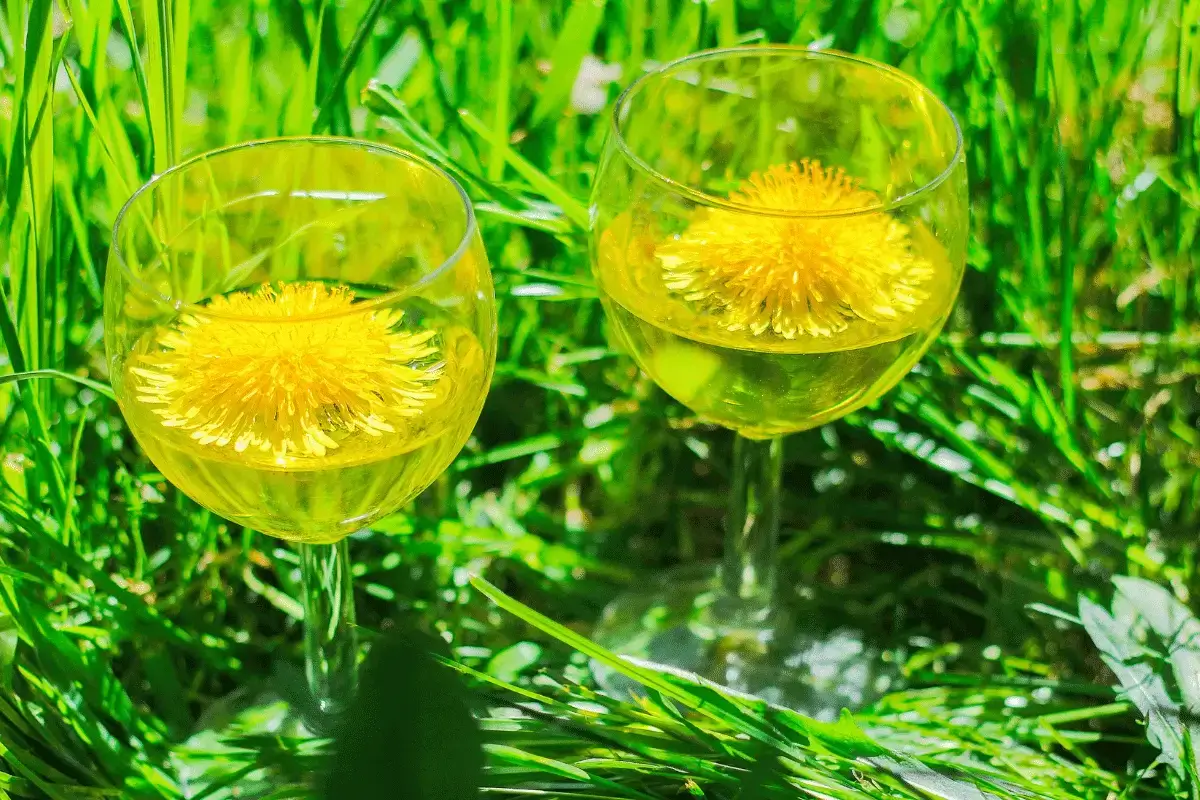 Dandelion drink