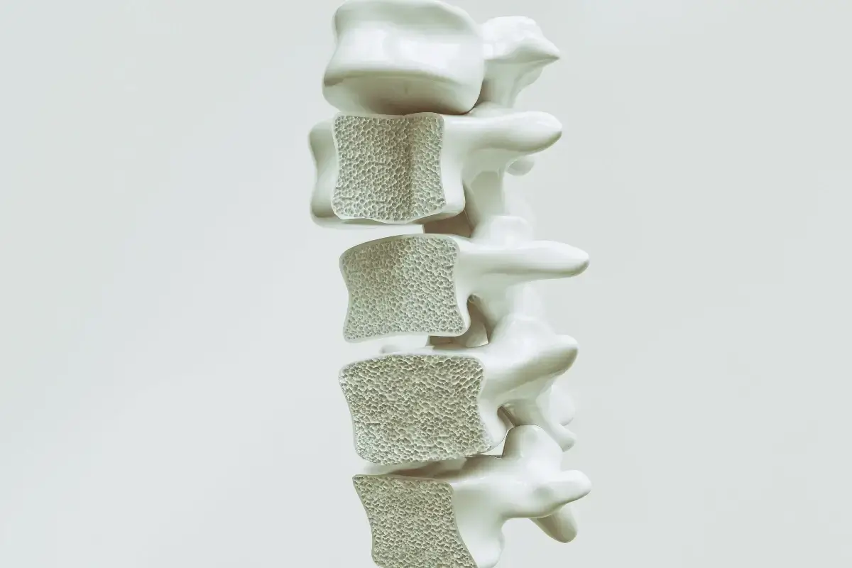 Prevent osteoporosis