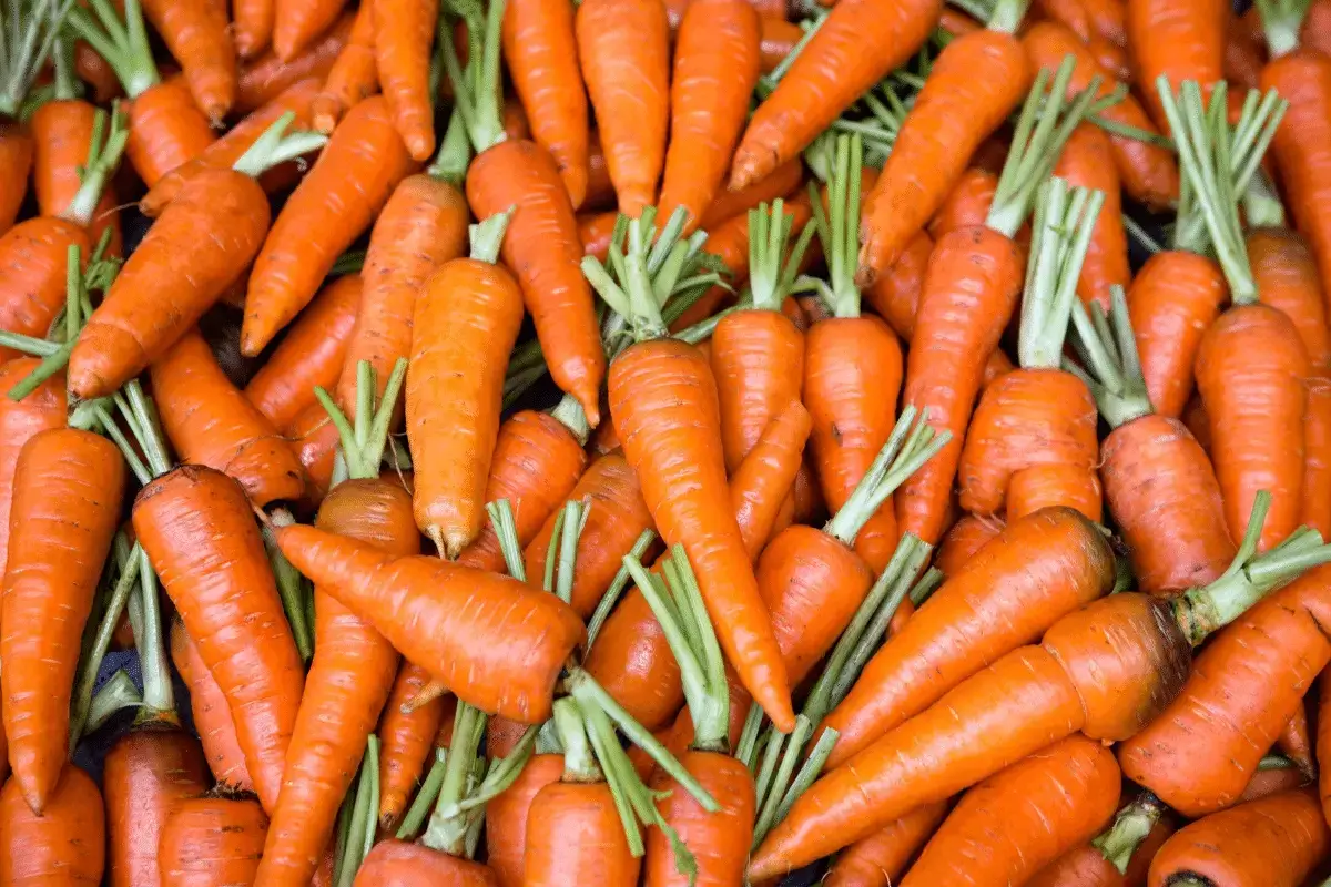 Carrots