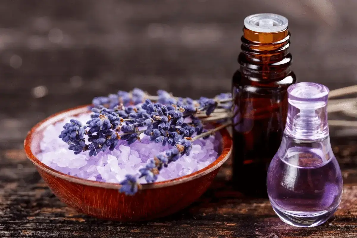 Benefits of lavender for the sensitive areas