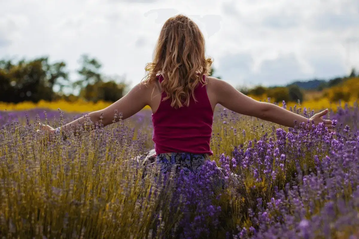 Benefits of lavender for pregnant women