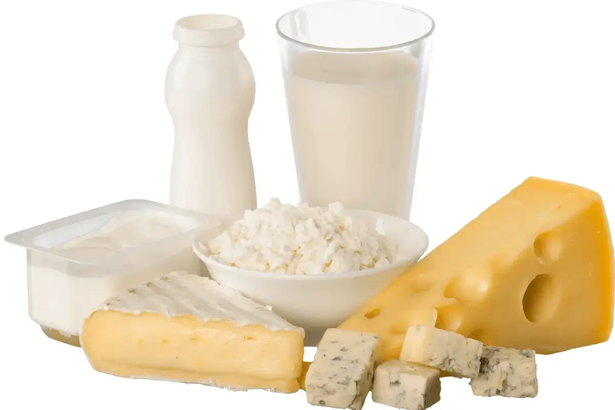 Dairy products