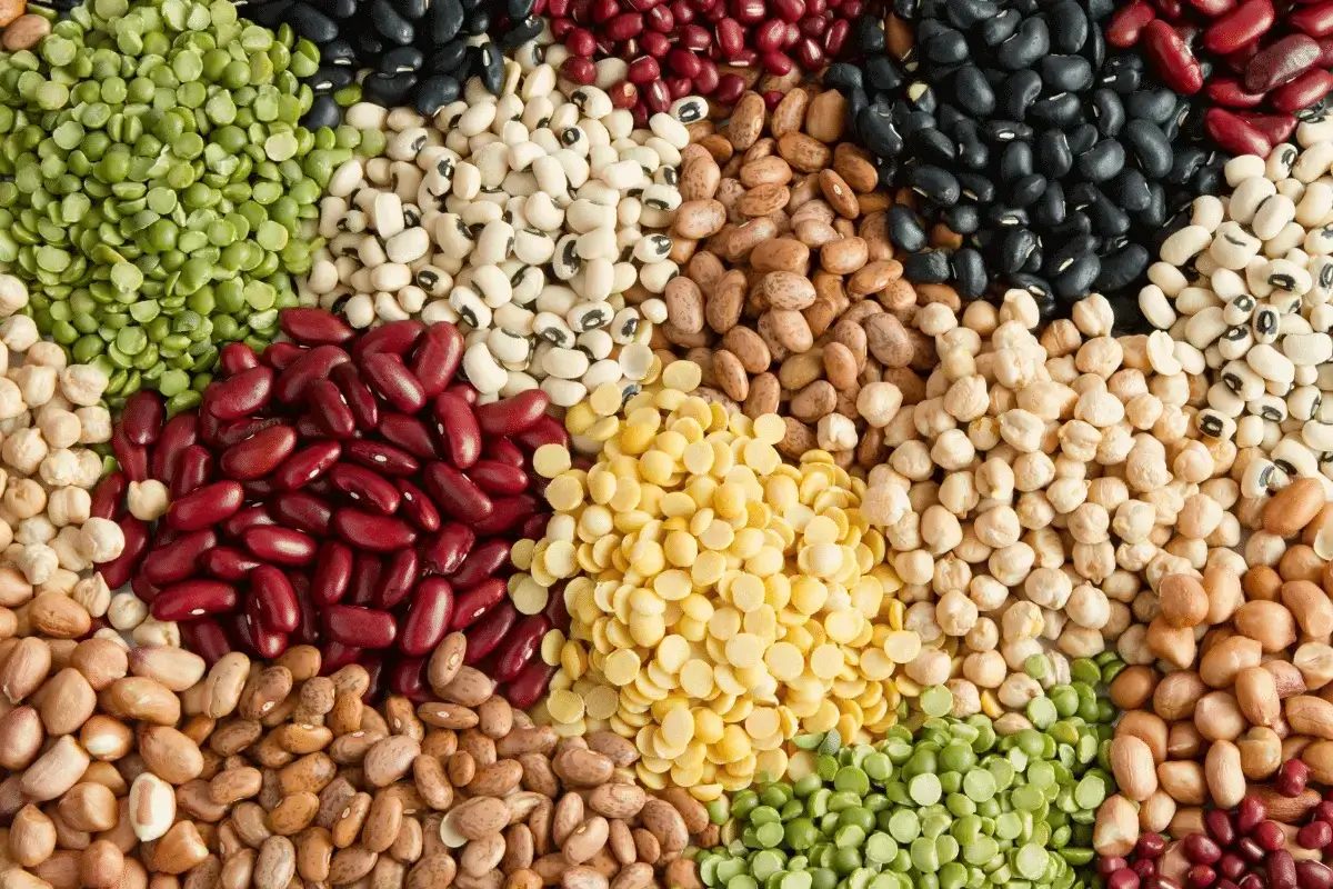 Legumes