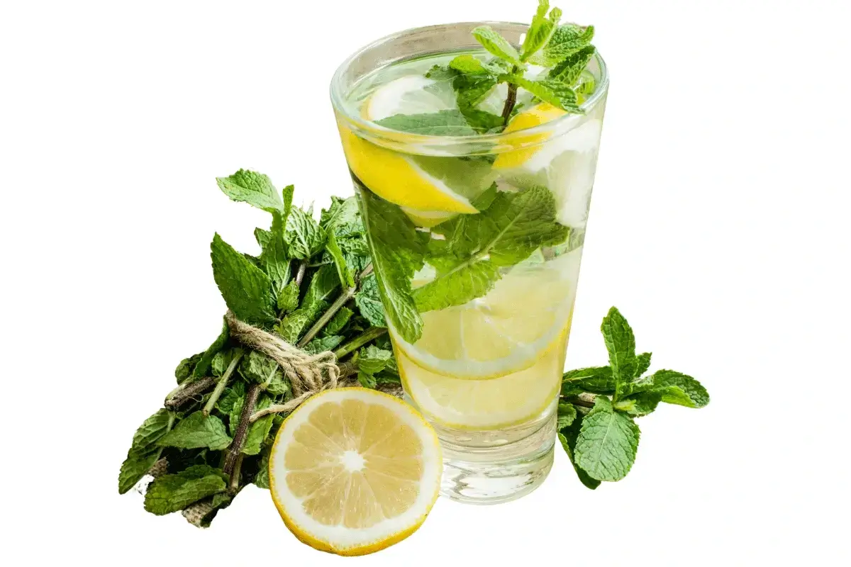 Lemon with mint are one of the herbal juice for weight loss