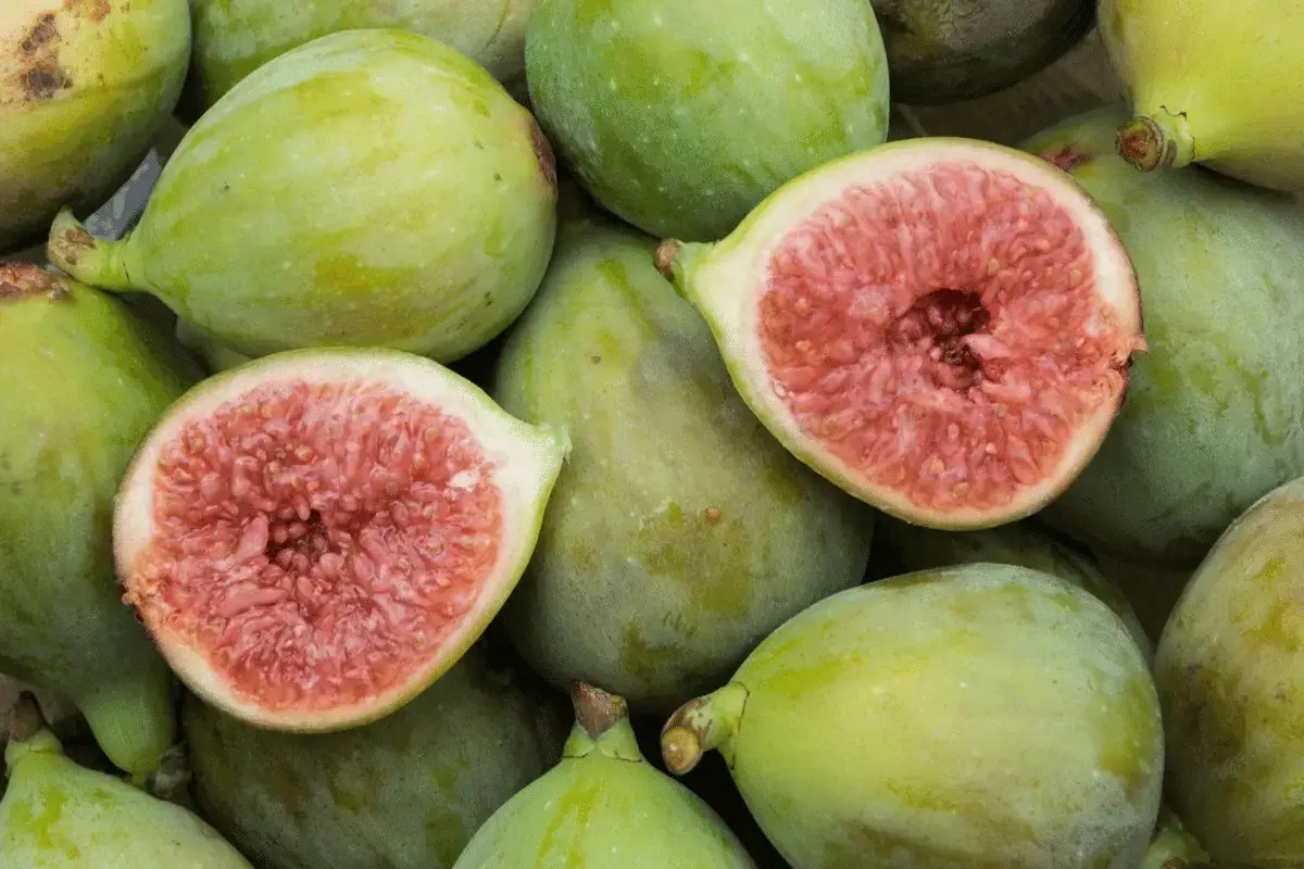 Fig