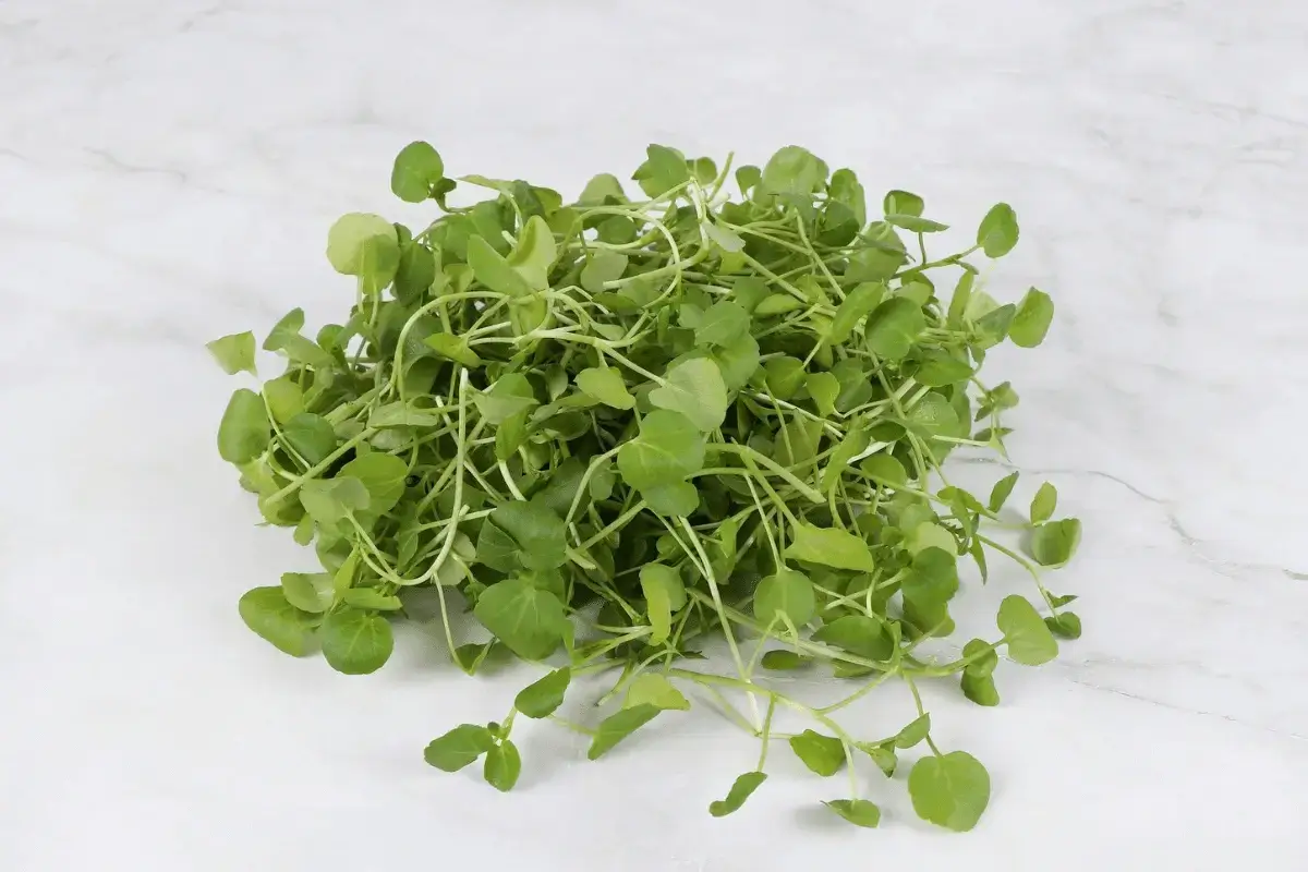 Watercress is one of the best foods to stimulate hair growth