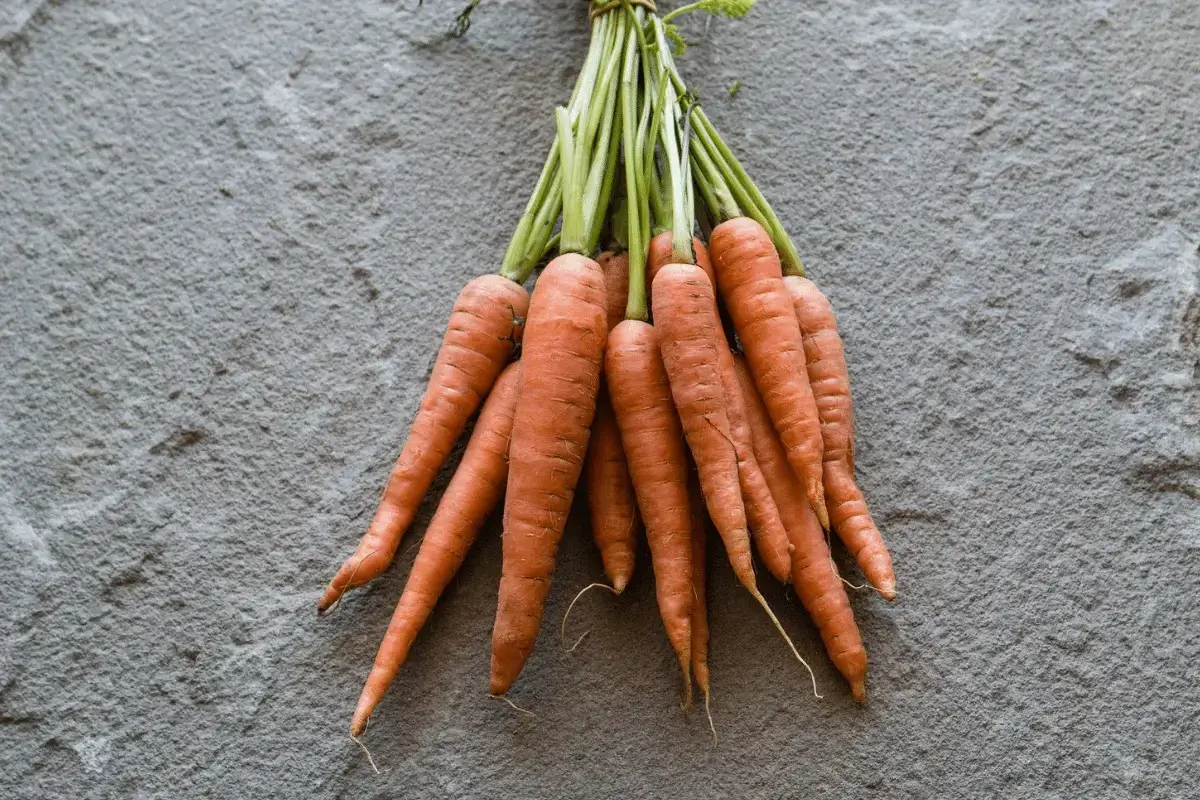 Carrots are one of the best milk Producing Foods For Breastfeeding