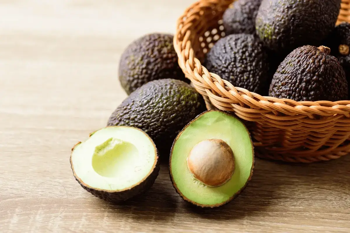Avocado fruit is one of the top tropical fruit pictures and names