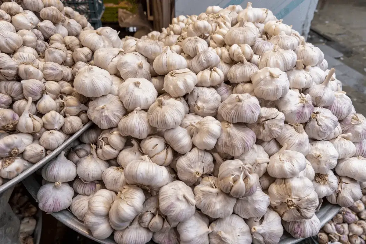Garlic is one of the best foods to increase immunity