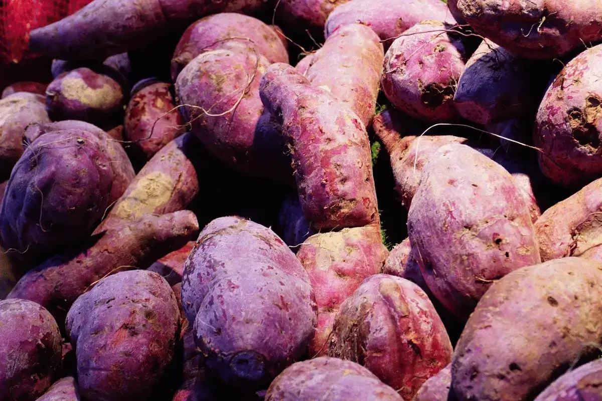 Sweet potato is one of the best foods to treat constipation