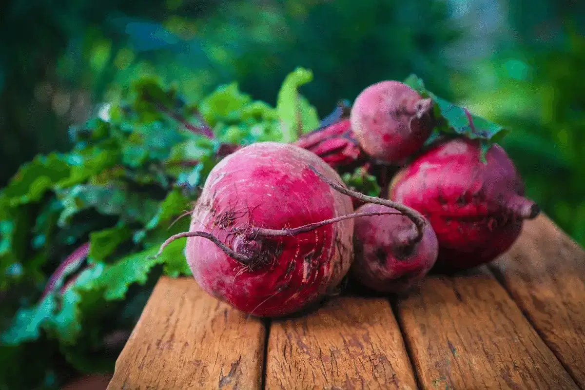 Beet is one of the top foods that increase intelligence