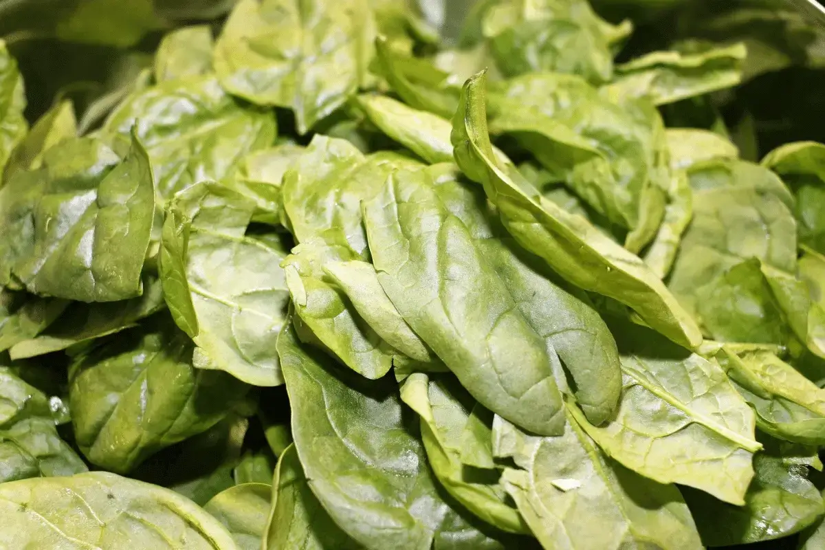 Spinach is one of the top foods to increase immunity