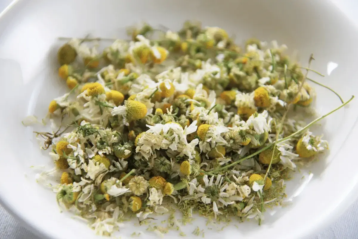 Chamomile is one of the foods that make you sleepy